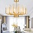 Ritz Fern Chandelier 50 см   фото 7